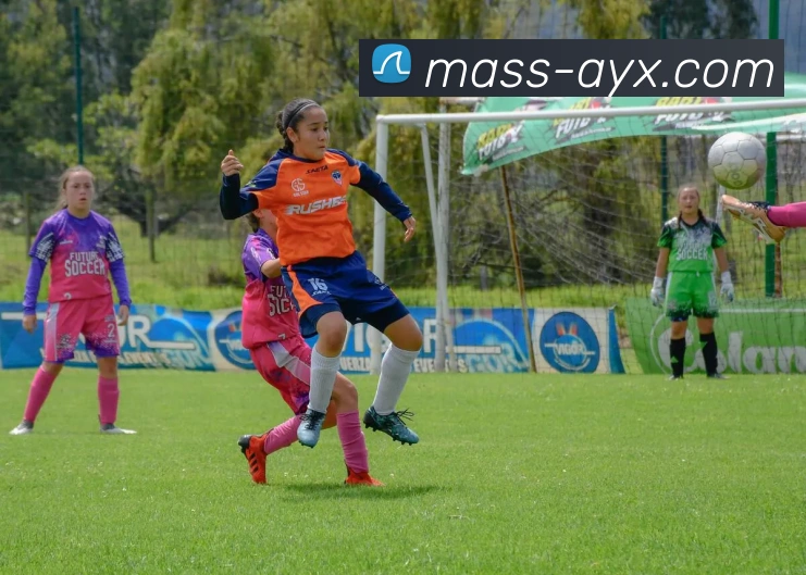 爱游戏品牌故事